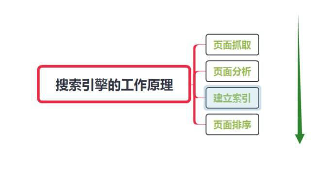 網(wǎng)站怎么讓蜘蛛快速抓?。? width=