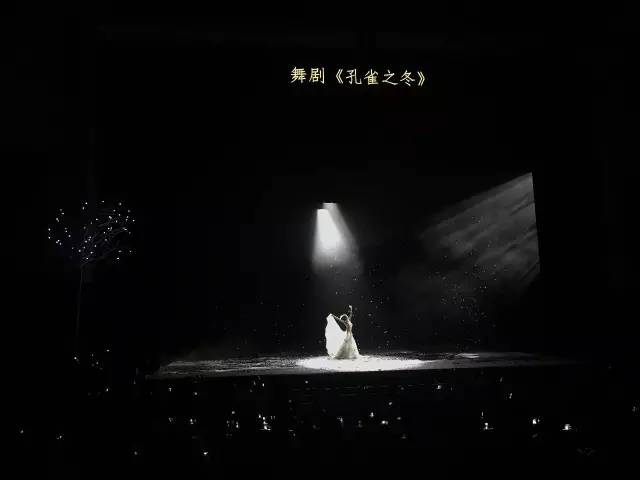 當(dāng)楊麗萍遭遇papi醬，傳統(tǒng)演出行業(yè)是否已窮途末路？
