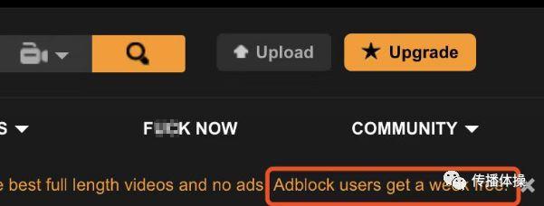 Pornhub，一個(gè)神奇的網(wǎng)站