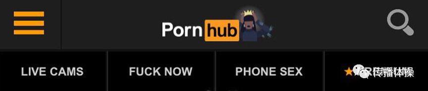 Pornhub，一個(gè)神奇的網(wǎng)站