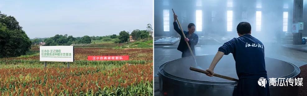 000字解析江小白的新消費之路！"