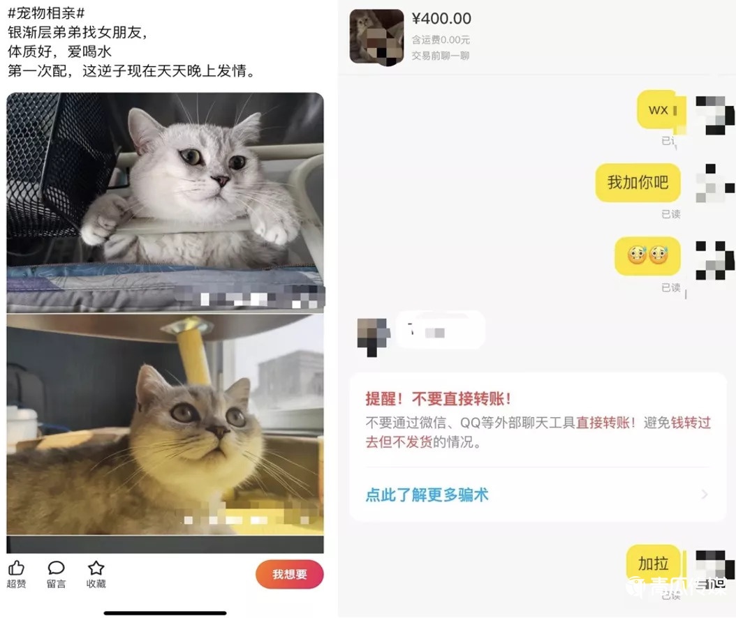 二手電商破圈迷局：新用戶、多元化和下一個(gè)B站？