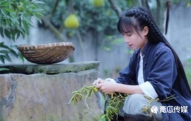 誰在“吞噬”李子柒？