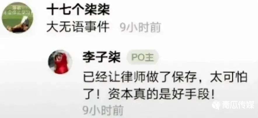 誰在“吞噬”李子柒？