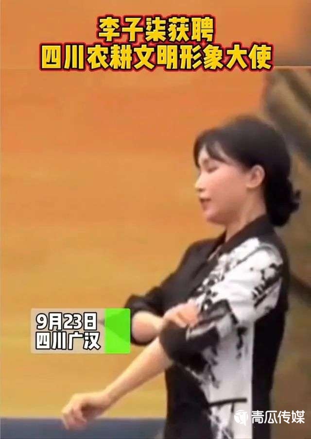 誰在“吞噬”李子柒？