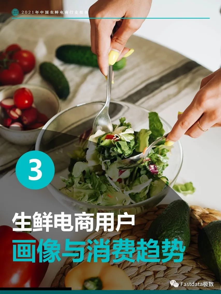 Fastdata極數(shù)：2022年中國生鮮電商行業(yè)報告
