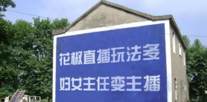 農(nóng)村的年輕人在城里送外賣(mài)，城市的年輕人卻去農(nóng)村刷墻